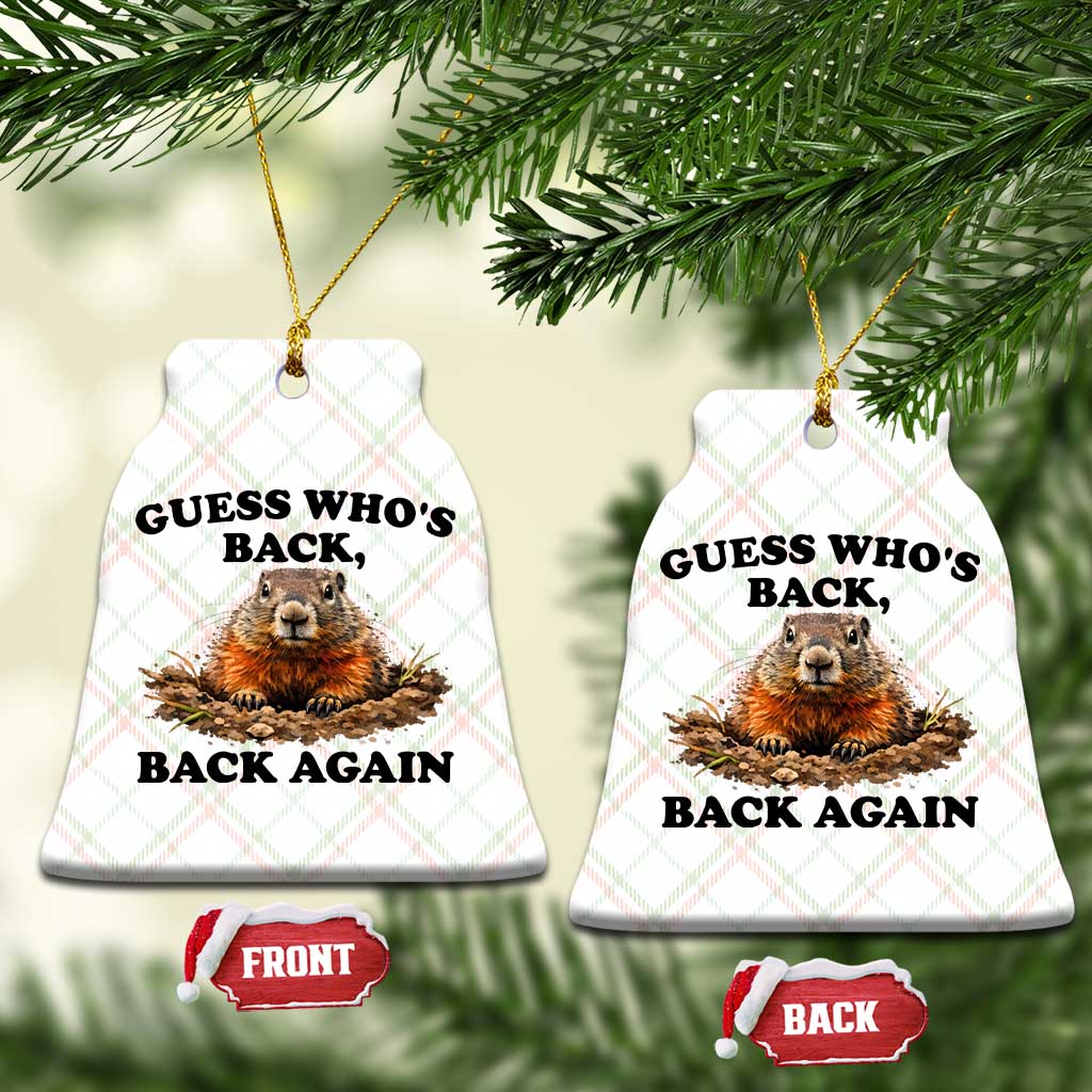 Groundhog Day Ceramic Ornament Funny Woodchuck Guess Whos Back TS10 Print Your Wear