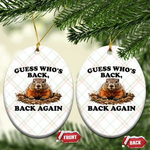 Groundhog Day Ceramic Ornament Funny Woodchuck Guess Whos Back TS10 Print Your Wear