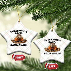 Groundhog Day Ceramic Ornament Funny Woodchuck Guess Whos Back TS10 Print Your Wear