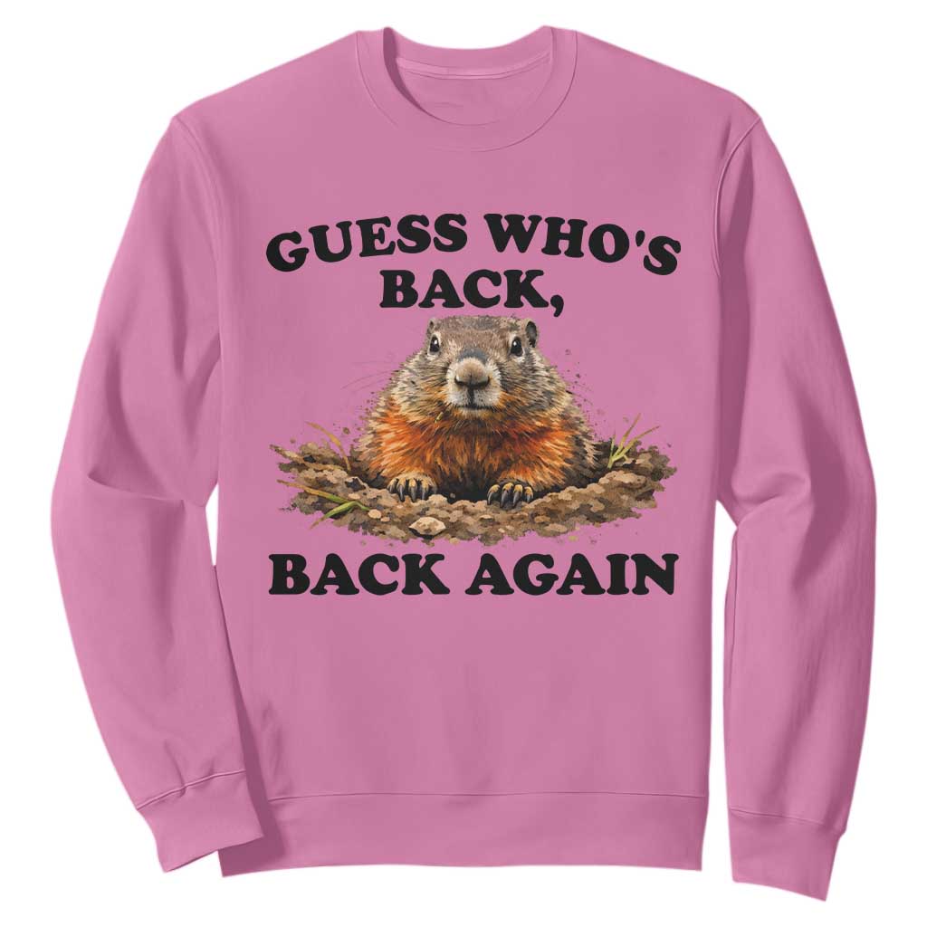Groundhog Day Sweatshirt Funny Woodchuck Guess Whos Back TS10 Azalea Print Your Wear
