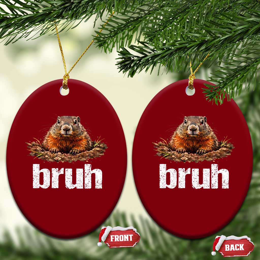 Funny Groundhog Ceramic Ornament Ground Hog Meme Lover Bruh Groundhog Day TS10 Print Your Wear