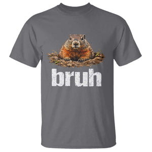 Funny Groundhog T Shirt - Ground Hog Meme Lover Bruh Groundhog Day Humor Tee TS10 Charcoal Print Your Wear