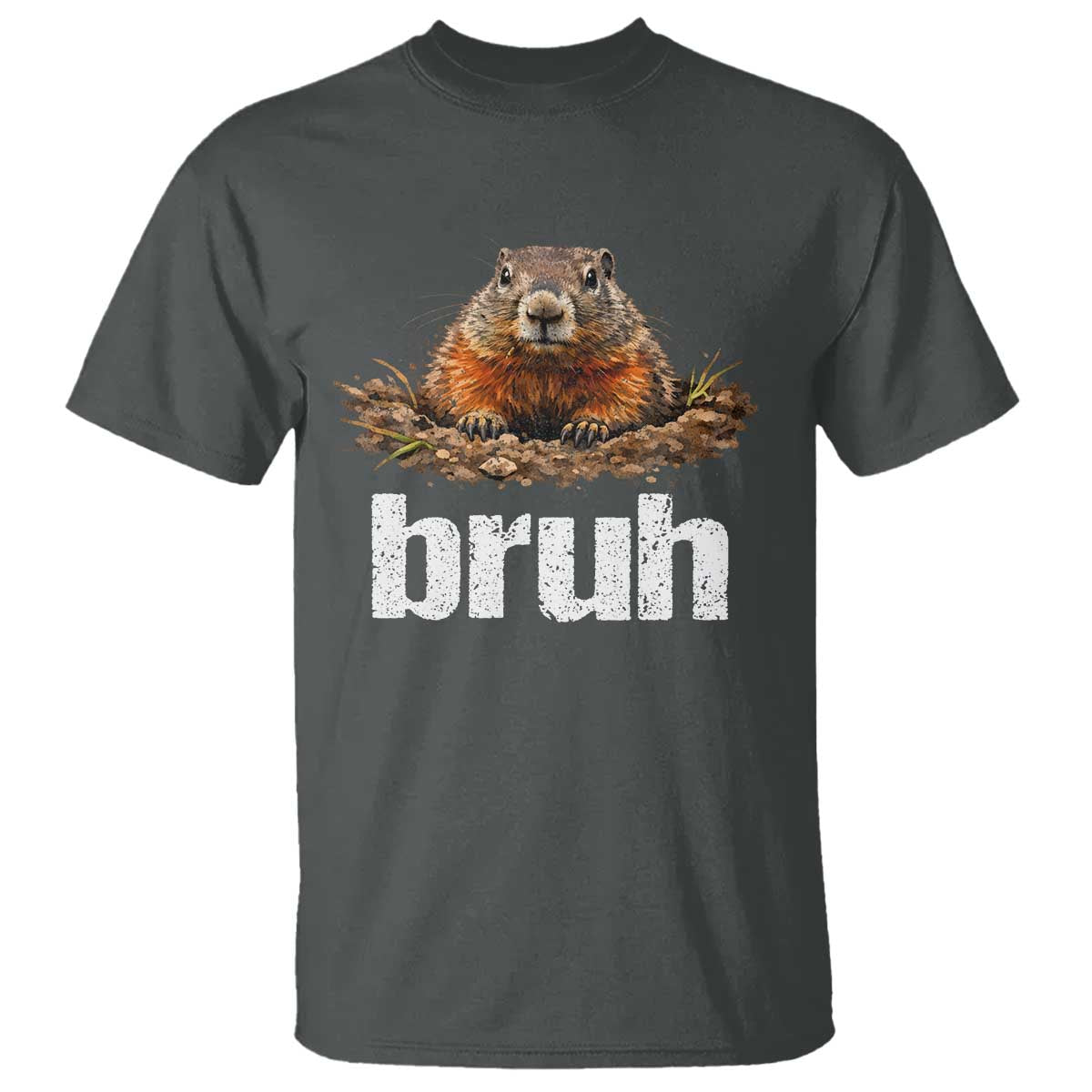 Funny Groundhog T Shirt - Ground Hog Meme Lover Bruh Groundhog Day Humor Tee TS10 Dark Heather Print Your Wear