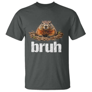 Funny Groundhog T Shirt - Ground Hog Meme Lover Bruh Groundhog Day Humor Tee TS10 Dark Heather Print Your Wear