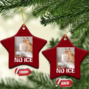 Funny Cat Meme No Ice Ceramic Ornament Subtle FDT Political Satire Satirical Humor TS10 Print Your Wear