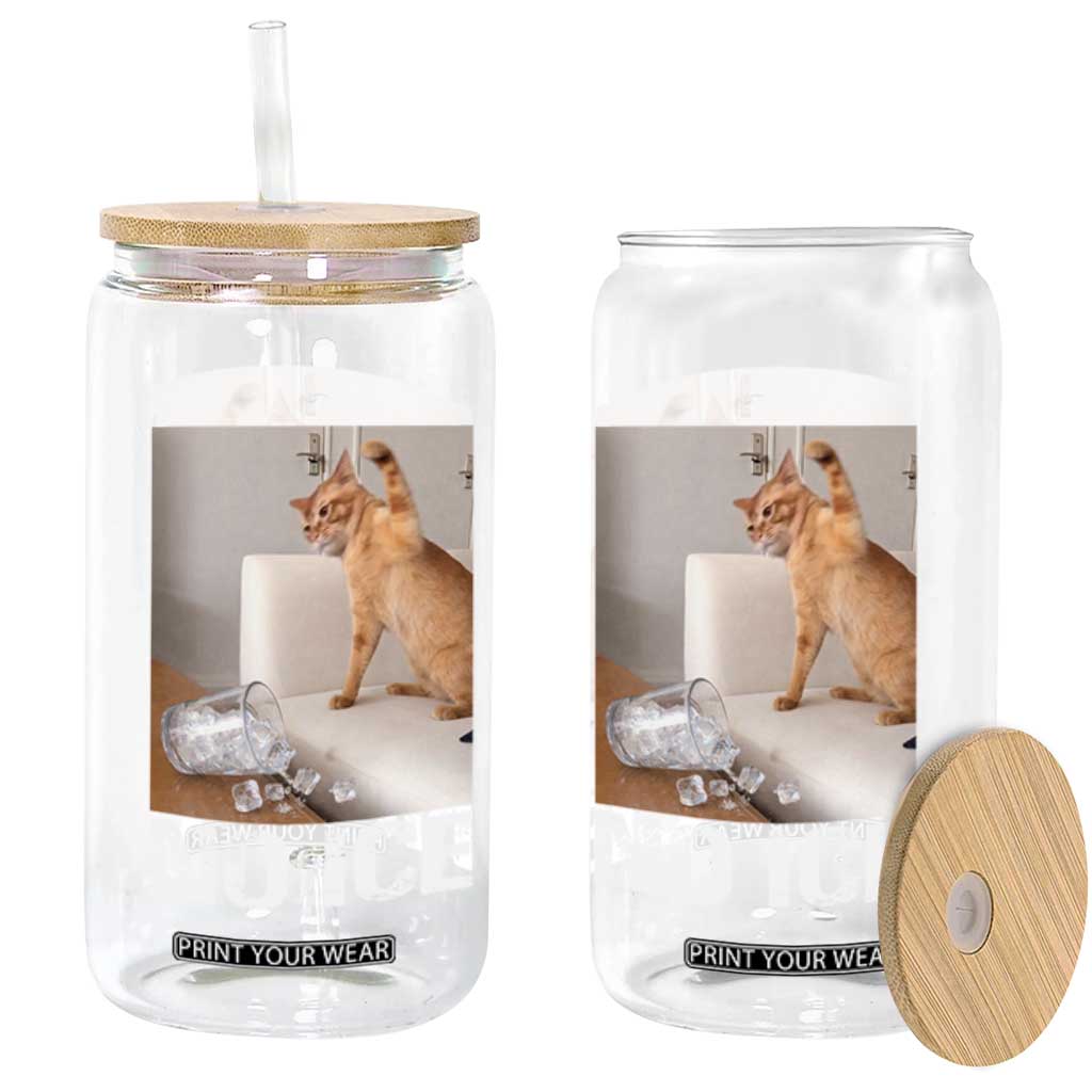 Funny Cat Meme No Ice Glass Can Subtle FDT Political Satire Satirical Humor TS10 Print Your Wear