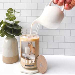 Funny Cat Meme No Ice Glass Can Subtle FDT Political Satire Satirical Humor TS10 Print Your Wear