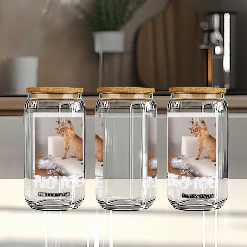 Funny Cat Meme No Ice Glass Can Subtle FDT Political Satire Satirical Humor TS10 Print Your Wear
