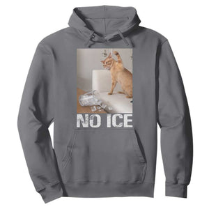 Funny Cat Meme No Ice Hoodie Subtle FDT Political Satire Satirical Humor TS10 Charcoal Print Your Wear