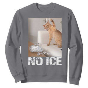Funny Cat Meme No Ice Sweatshirt Subtle FDT Political Satire Satirical Humor TS10 Charcoal Print Your Wear