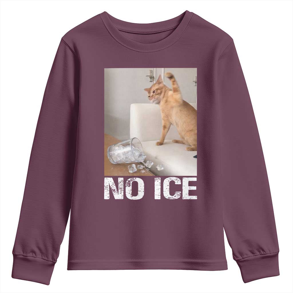 Funny Cat Meme No Ice Youth Sweatshirt Subtle FDT Political Satire Satirical Humor TS10 Maroon Print Your Wear
