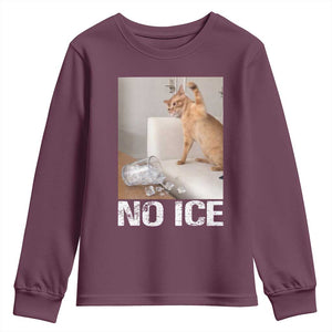 Funny Cat Meme No Ice Youth Sweatshirt Subtle FDT Political Satire Satirical Humor TS10 Maroon Print Your Wear