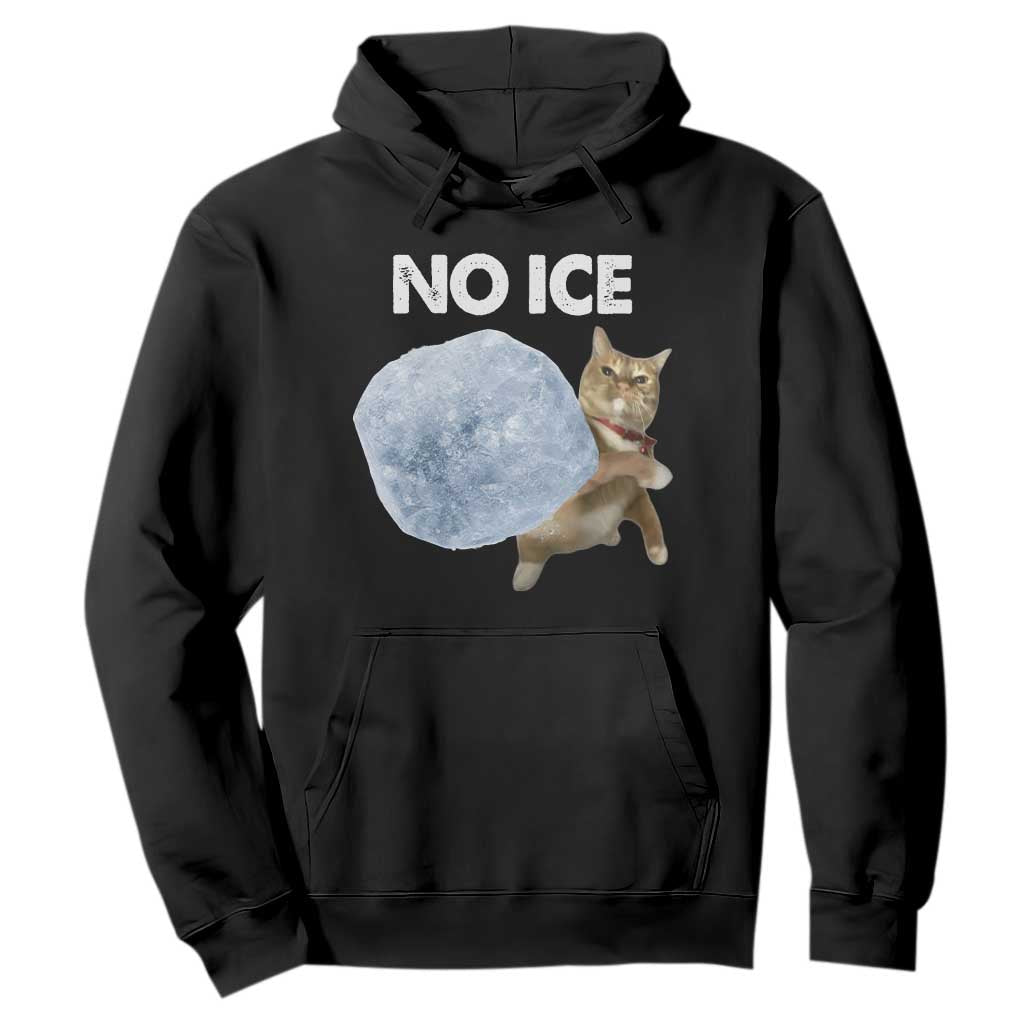 No Ice Hoodie Funny Cat Meme Subtle FDT Political Satire TS10 Black Print Your Wear