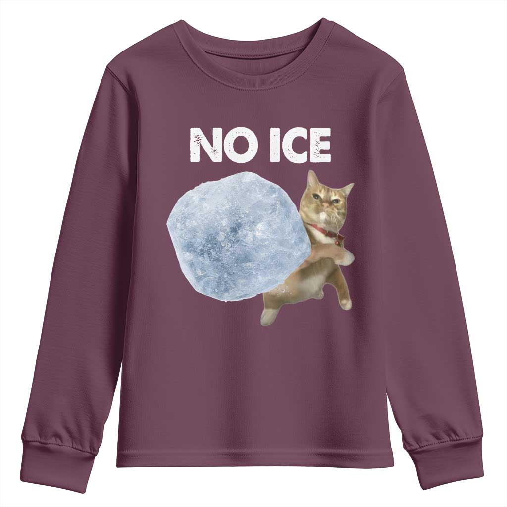 No Ice Youth Sweatshirt Funny Cat Meme Subtle FDT Political Satire TS10 Maroon Print Your Wear