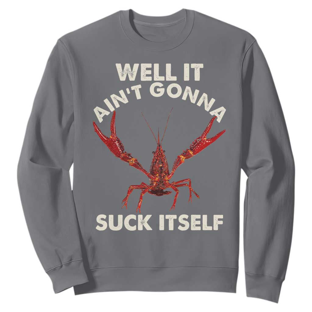 Funny Cajun Crawfish Sweatshirt It Aint Gonna Suck Itself Lobster Crawfish Boil TS10 Charcoal Print Your Wear
