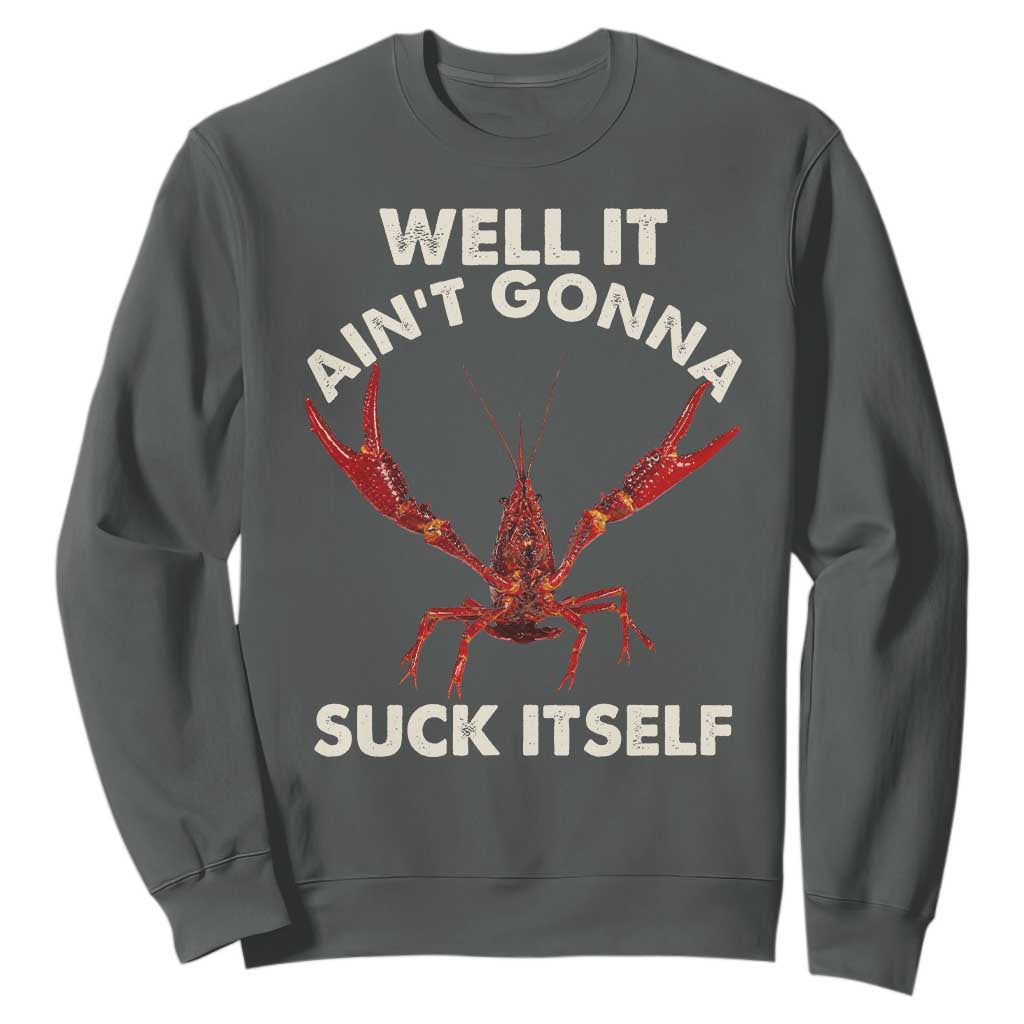 Funny Cajun Crawfish Sweatshirt It Aint Gonna Suck Itself Lobster Crawfish Boil TS10 Dark Heather Print Your Wear