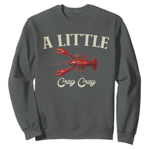 Crawfish Lovers Sweatshirt A Little Cray Crayfish Boils Cajun Seafood Festival TS10 Dark Heather Print Your Wear