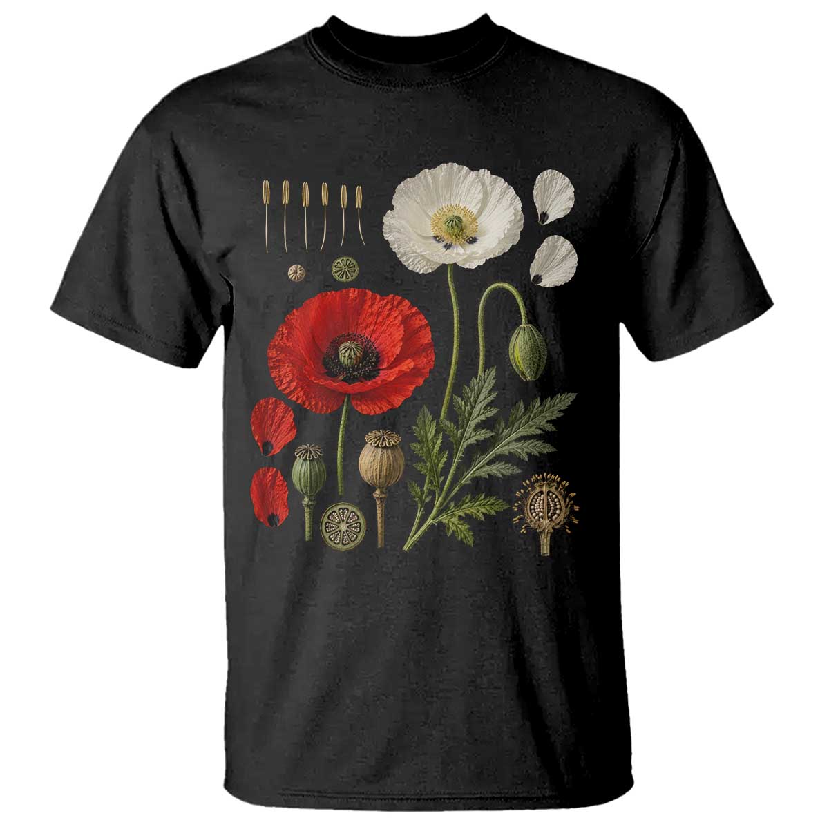 Summer Red Poppy Flower Botanical Poppies Vintage Print Memorial Day Floral Graphic T Shirt TS10 Black Print Your Wear