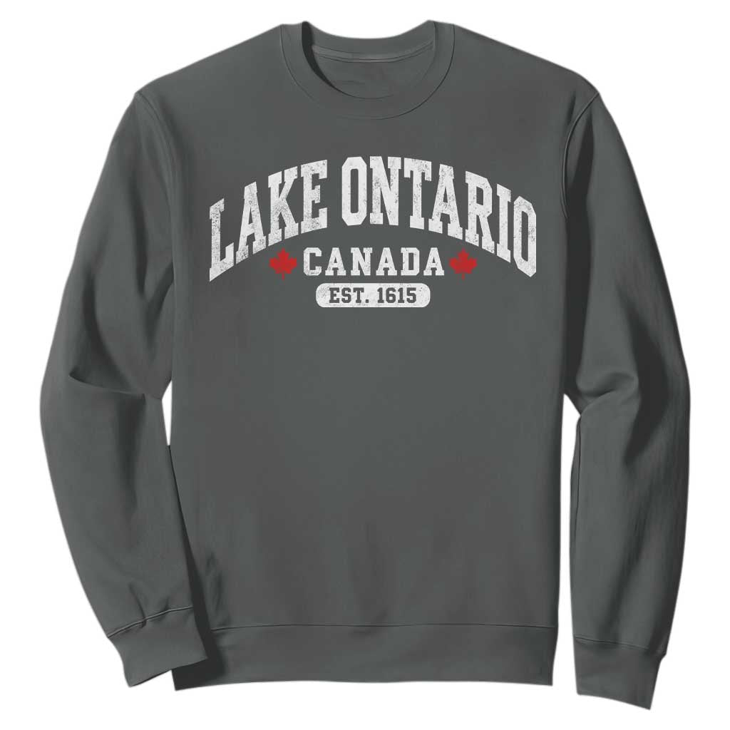 Lake Ontario Canada Sweatshirt Great Lakes Vintage Retro Souvenir Gift