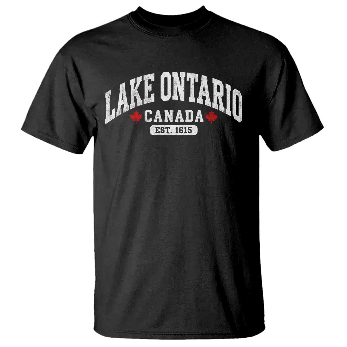Lake Ontario Canada T Shirt Great Lakes Vintage Retro Souvenir Gift