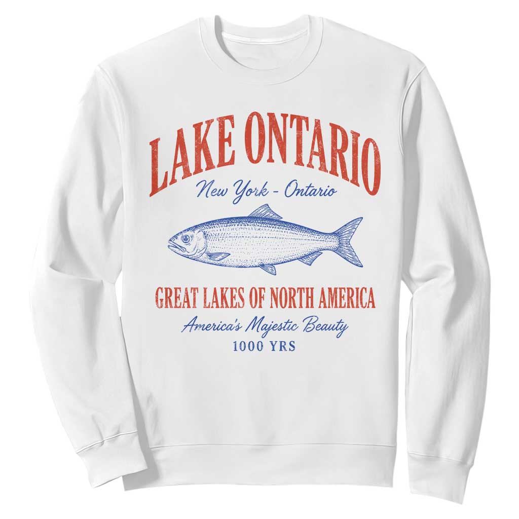 Retro Style Vintage Lake Ontario America Sweatshirt The Great Lakes Graphic