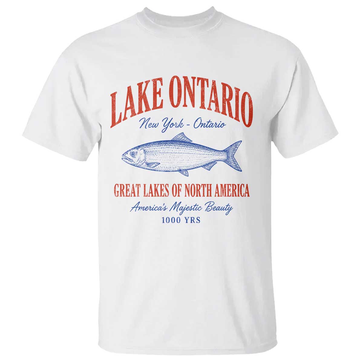 Retro Style Vintage Lake Ontario America T Shirt The Great Lakes Graphic