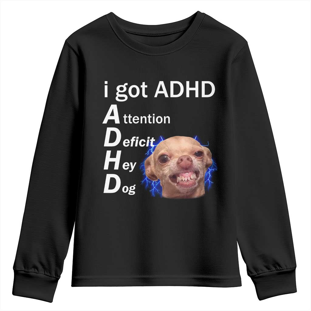Funny ADHD Dog Meme Youth Sweatshirt Attention Deficit Hey Dog Humor Lovers TS10 Black Print Your Wear