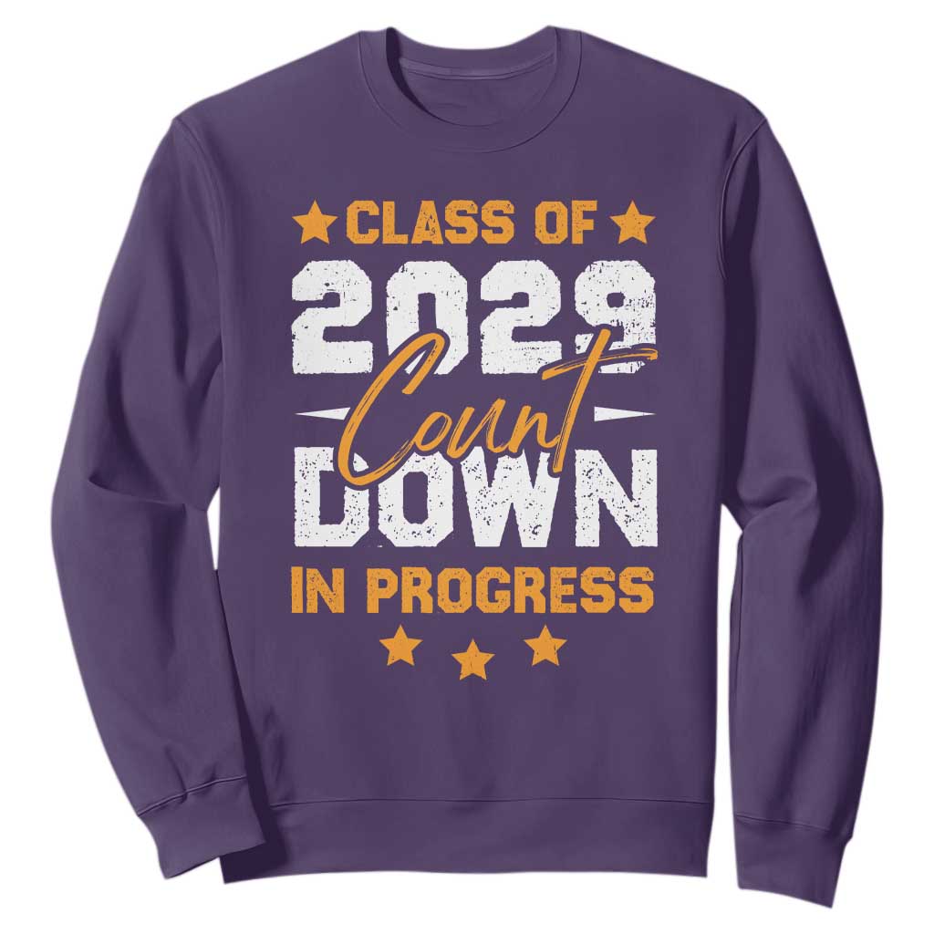 Class Of 2029 Count Down Graduating Sweatshirt TS10 Purple Print Your Wear