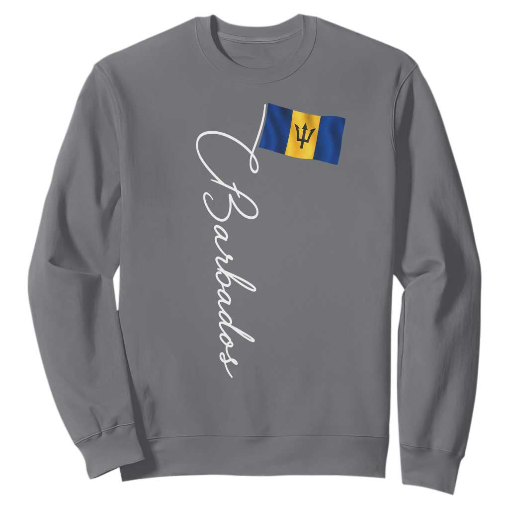 Barbados Flag Sweatshirt Elegant Barbados Pride Patriotic Island Heritage Gift TS10 Charcoal Print Your Wear