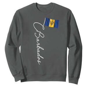 Barbados Flag Sweatshirt Elegant Barbados Pride Patriotic Island Heritage Gift TS10 Dark Heather Print Your Wear