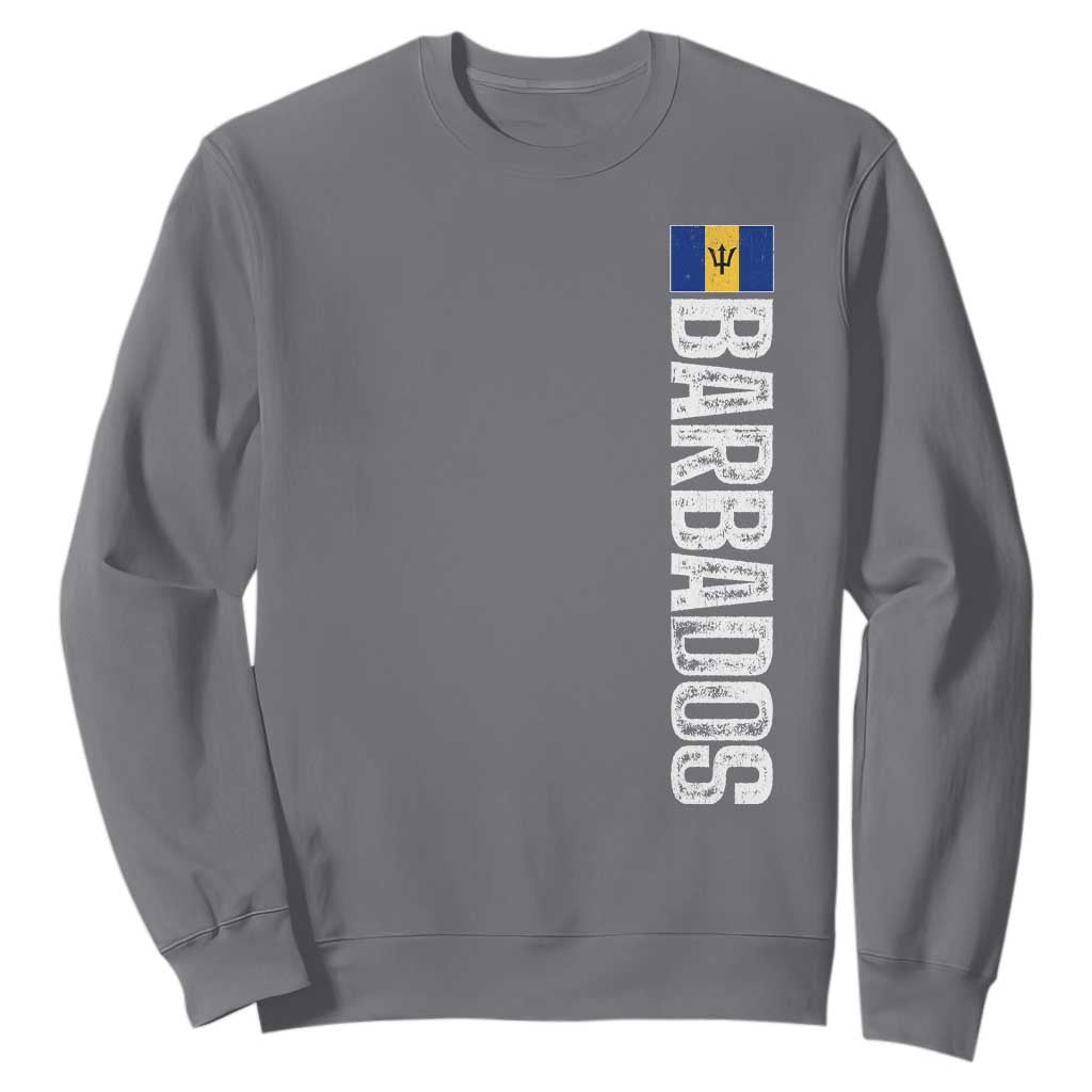 Barbados Flag Sweatshirt Distressed Vertical Typography Caribbean Island Pride Heritage Gift TS10 Charcoal Print Your Wear