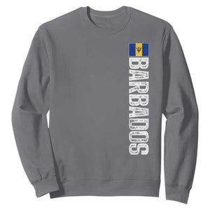Barbados Flag Sweatshirt Distressed Vertical Typography Caribbean Island Pride Heritage Gift TS10 Charcoal Print Your Wear
