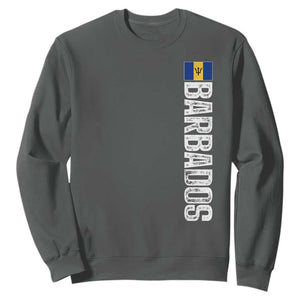 Barbados Flag Sweatshirt Distressed Vertical Typography Caribbean Island Pride Heritage Gift TS10 Dark Heather Print Your Wear