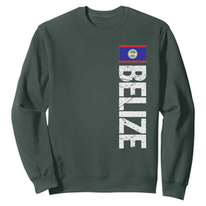 Belize Flag Sweatshirt Distressed Central American Pride Heritage Gift TS10 Dark Forest Green Print Your Wear