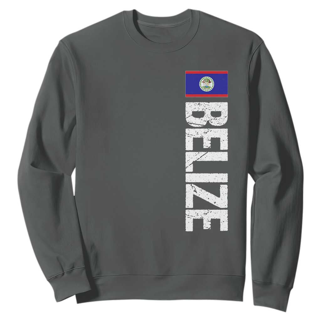 Belize Flag Sweatshirt Distressed Central American Pride Heritage Gift TS10 Dark Heather Print Your Wear