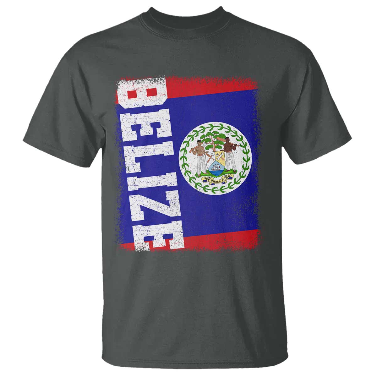 Vintage Belize T Shirt Distressed Flag Central American Pride Heritage Gift TS10 Dark Heather Print Your Wear