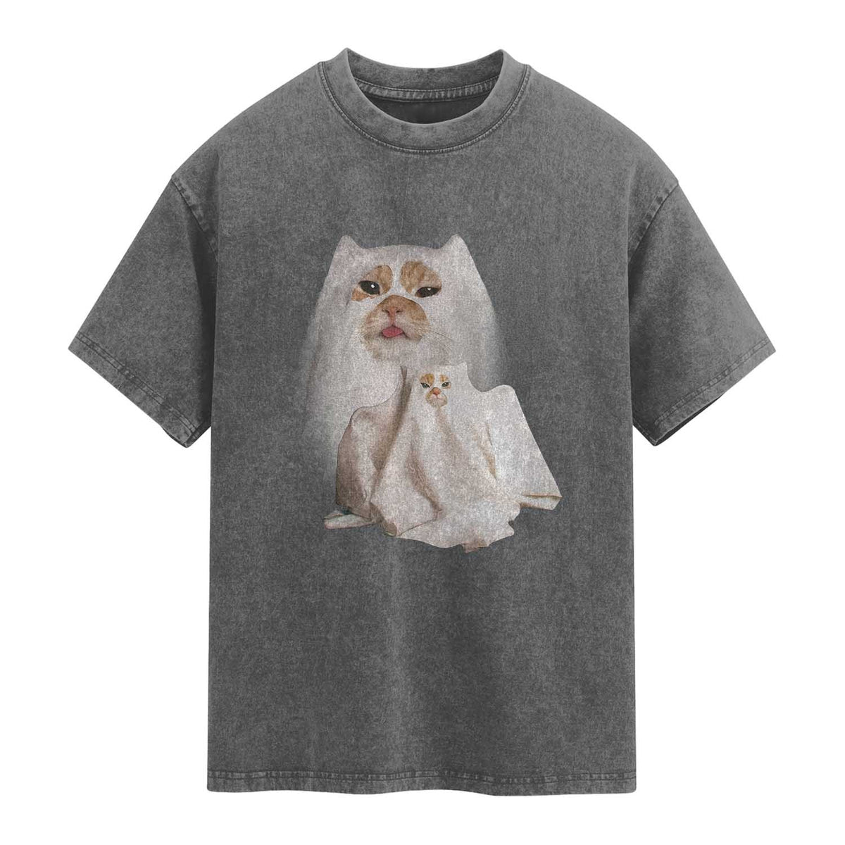 Funny Halloween Ghost Cat Meme Washed Cotton T-Shirt TS10 Charcoal Print Your Wear