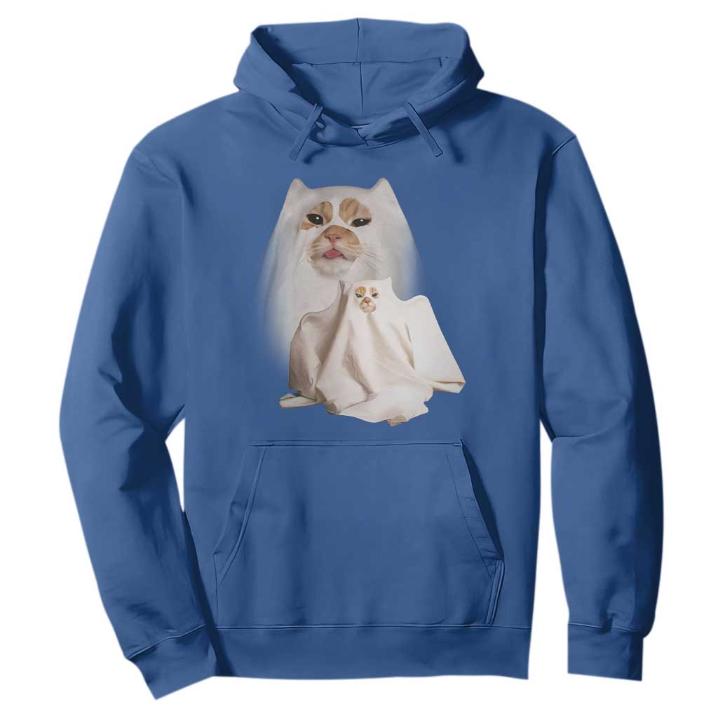 Funny Halloween Ghost Cat Meme Hoodie TS10 Royal Blue Print Your Wear