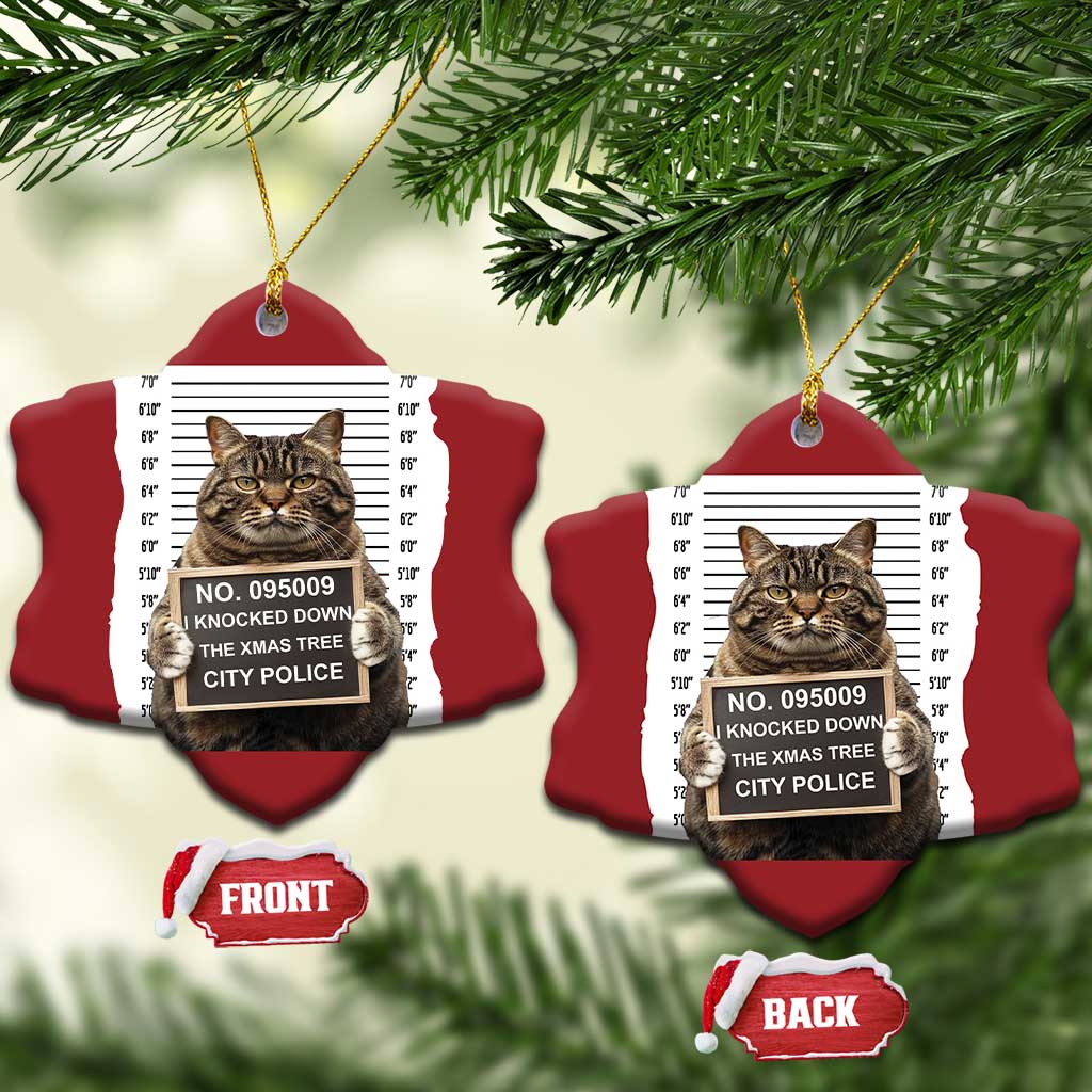 Funny Cat Xmas Christmas Ornament Mugshot I Knocked Down The Xmas Tree TS10 Snow Flake Red Print Your Wear