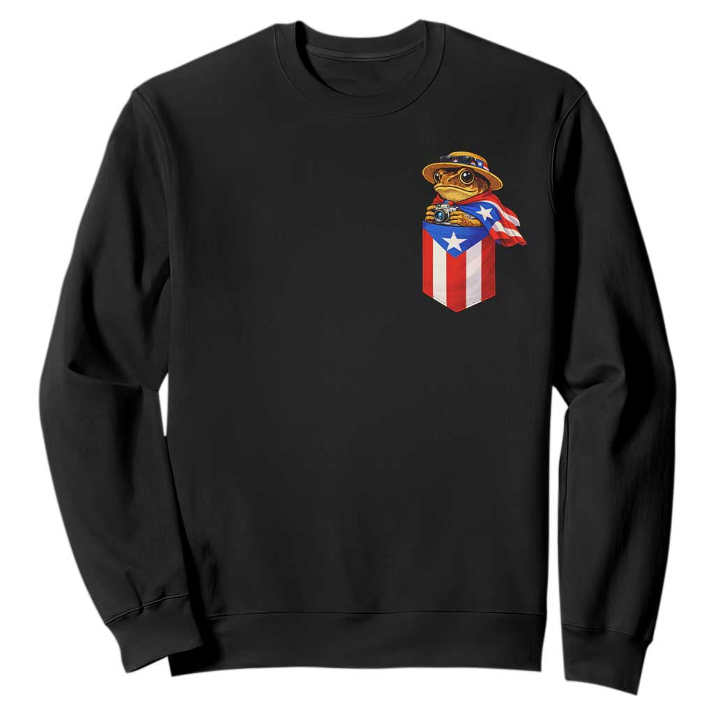 Funny Coqui Frog Puerto Rico Flag Sweatshirt Puerto Rican Taino Buricua Pocket Borinquen TS10 Black Print Your Wear