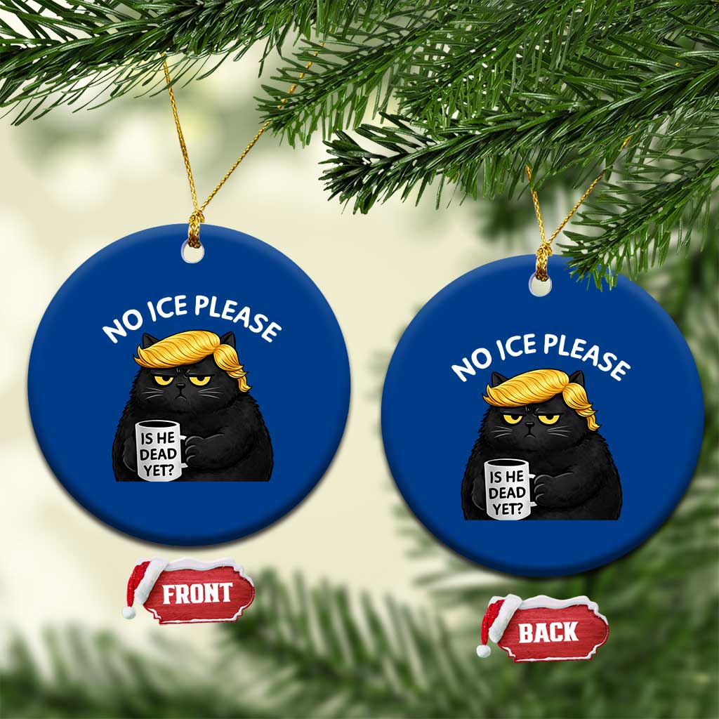 No ICE Protest Ceramic Ornament Is He Dead Yet Black Cat Meme TS10 1pc Blue Print Your Wear