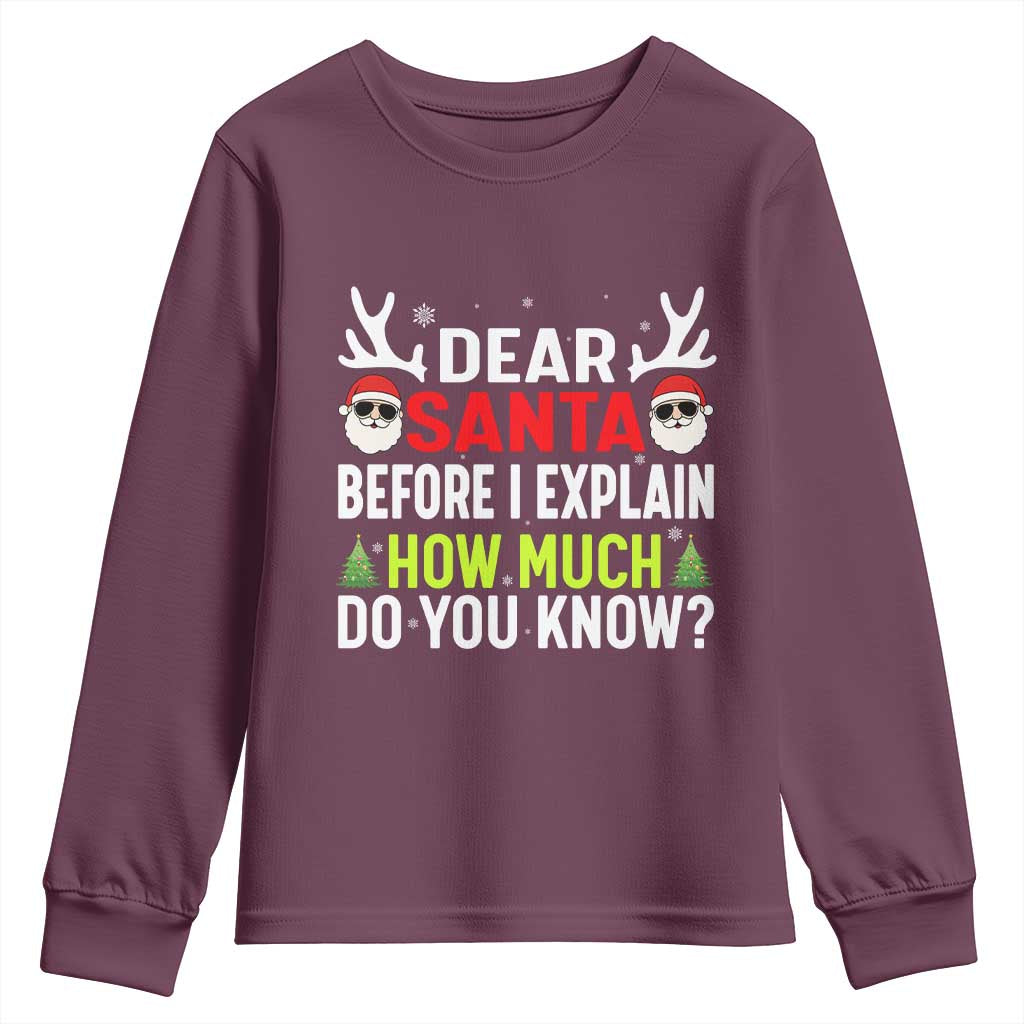 Funny Christmas Youth Sweatshirt Dear Santa I Can Explain How Much Do You Know TS10 Maroon Print Your Wear