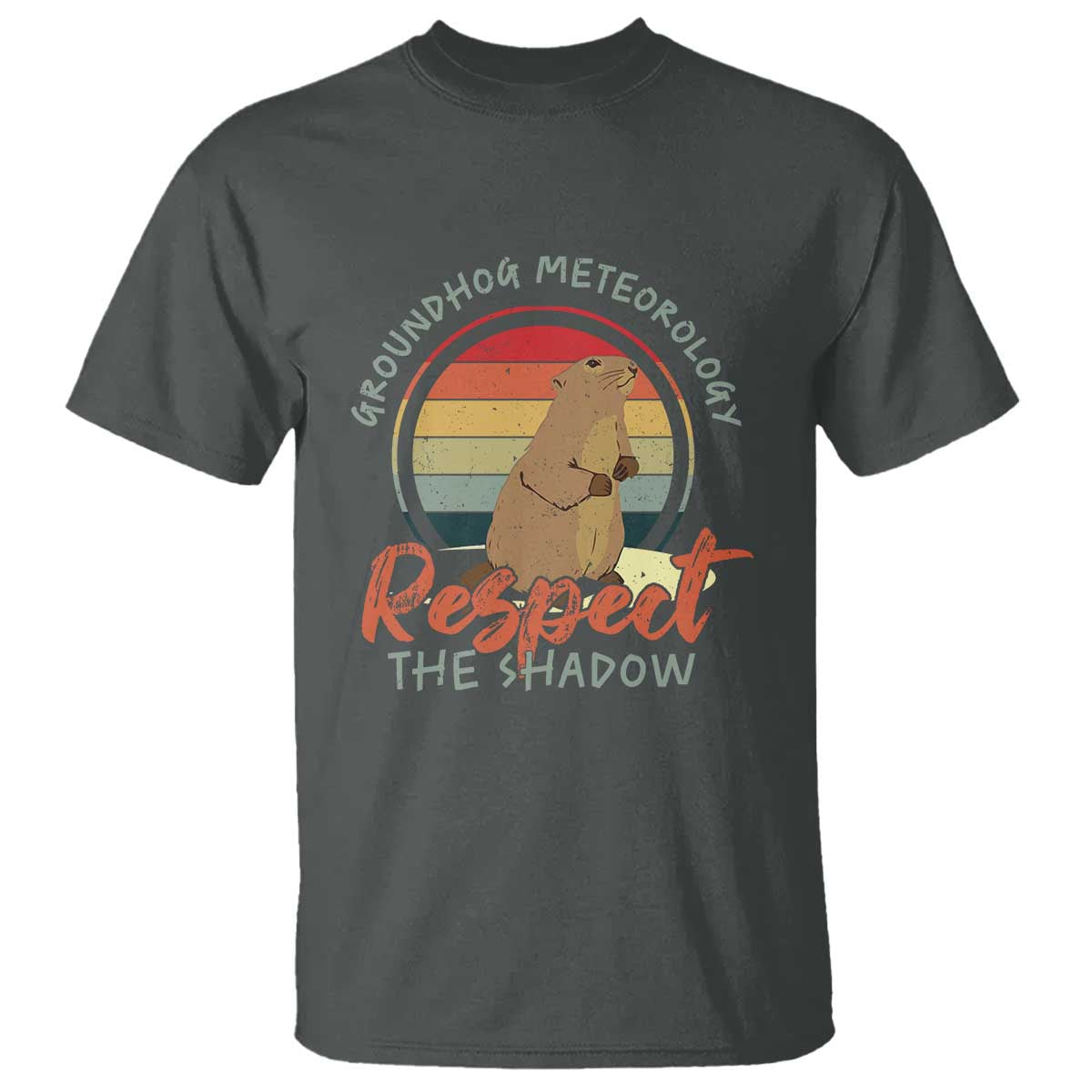 Funny Groundhog Day T Shirt Groundhog Meteorology Respect The Shadow Vintage Retro TS11 Dark Heather Print Your Wear