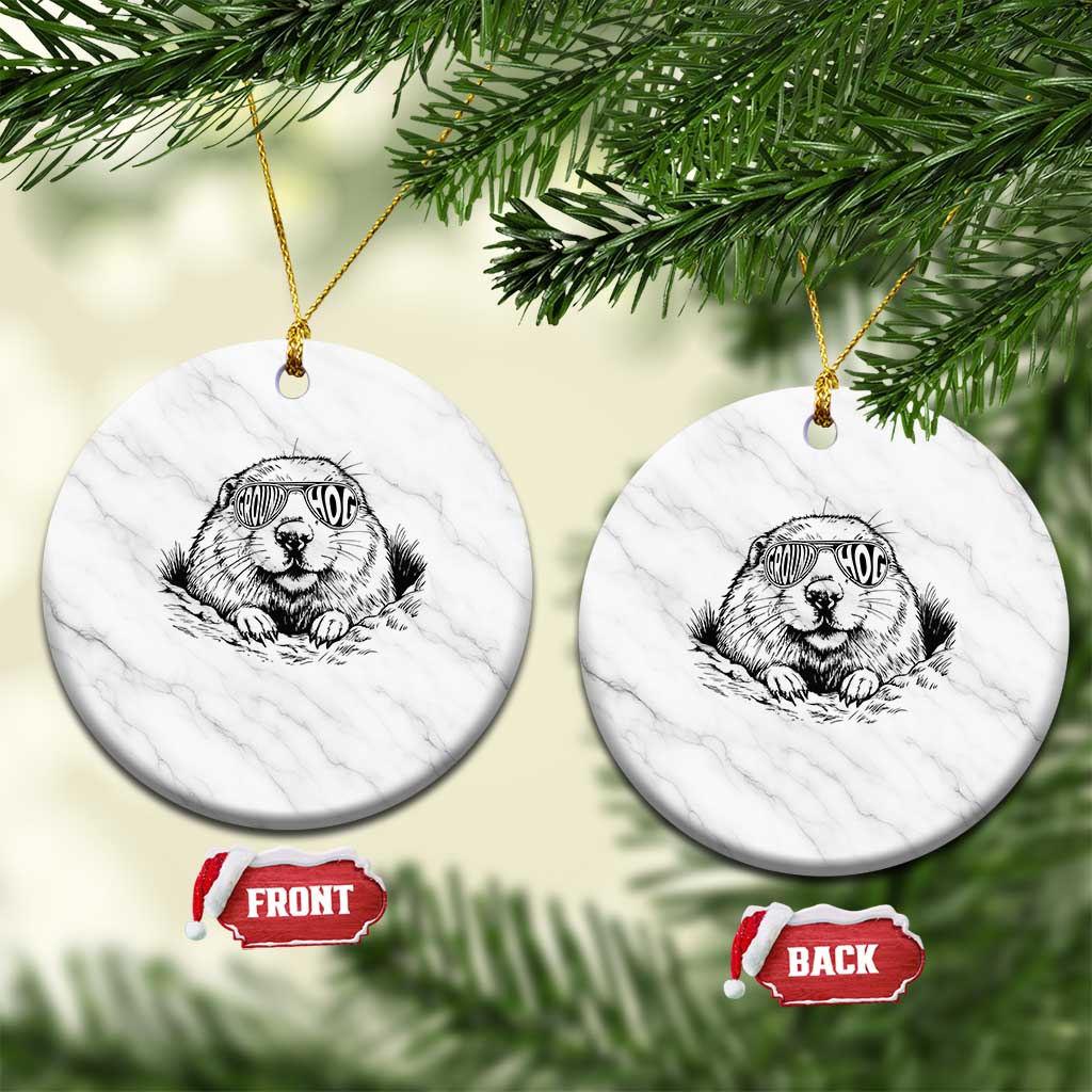 Funny Groundhog Face Woodchuck Sunglassess Ceramic Ornament TS11 1pc White Marble Print Your Wear