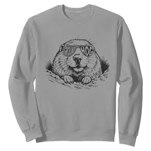 Funny Groundhog Face Woodchuck Sunglassess Sweatshirt TS11 Sport Gray Print Your Wear