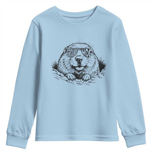 Funny Groundhog Face Woodchuck Sunglassess Youth Sweatshirt TS11 Light Blue Print Your Wear