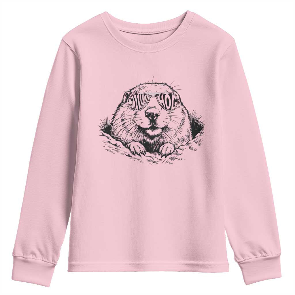 Funny Groundhog Face Woodchuck Sunglassess Youth Sweatshirt TS11 Light Pink Print Your Wear