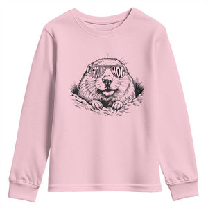 Funny Groundhog Face Woodchuck Sunglassess Youth Sweatshirt TS11 Light Pink Print Your Wear