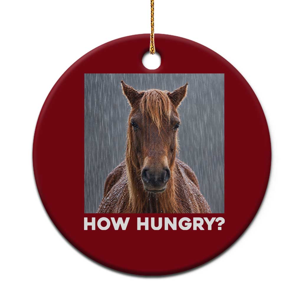 How Hungry Funny Sad Horse Meme Ceramic Ornament