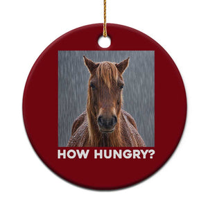 How Hungry Funny Sad Horse Meme Ceramic Ornament